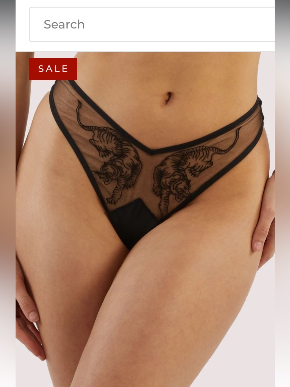 Thistle and Spire Black Sheer Lace V-Front Thong